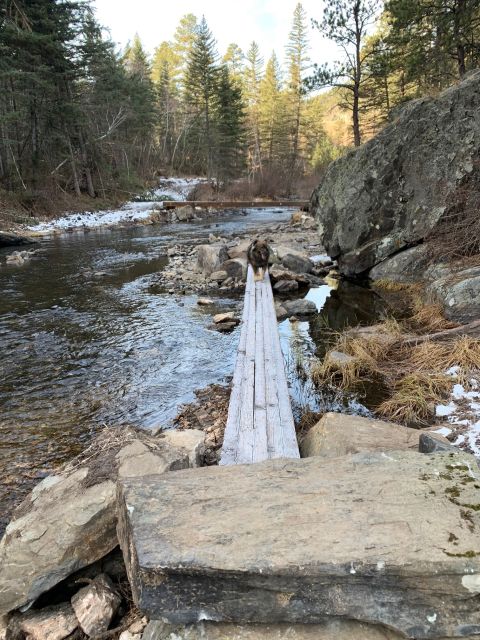 Black Hills: Private Tour of Mt. Rushmore & Flume Trail Hike - What the private guide adds