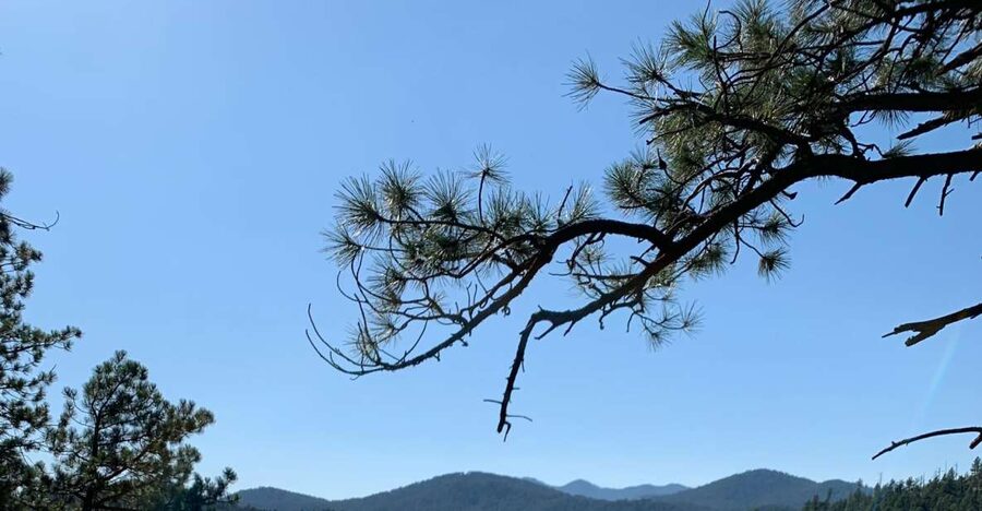 Black Hills: Private Tour of Mt. Rushmore & Flume Trail Hike - Morning at Mount Rushmore
