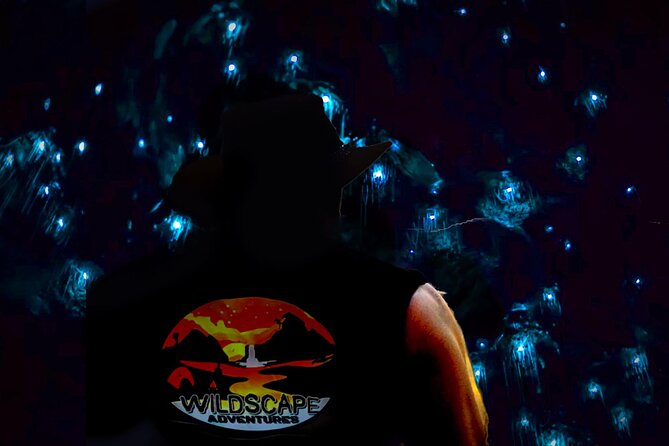 Blue Mountains Hiking Glow worms Cave Wildlife Spotlighting Night Adventure - Why the Blue Mountains look better after dark