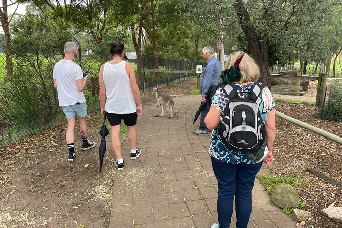 Blue Mountains Wildlife Full-Day Sights and Hiking from Sydney - A picnic with a Grose Valley view