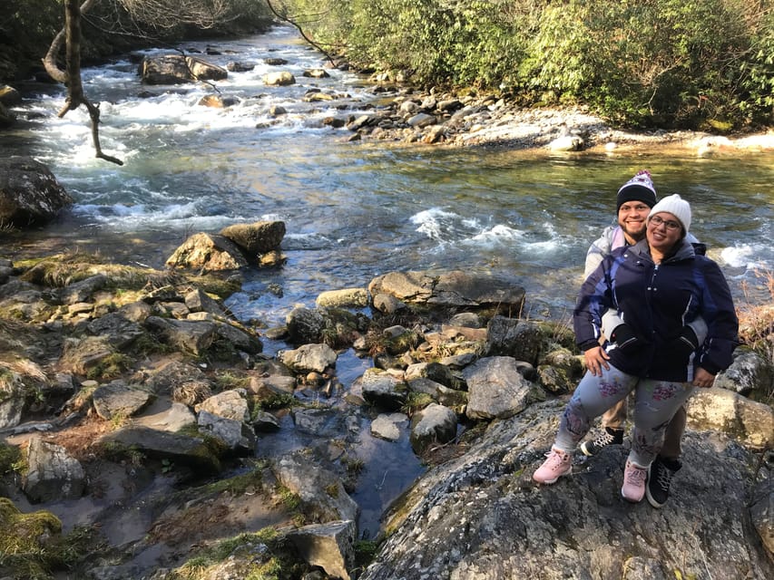 Blue Ridge hiking tour with areas #1 Guide (1/2 day) - Hiking through Pisgah National Forest