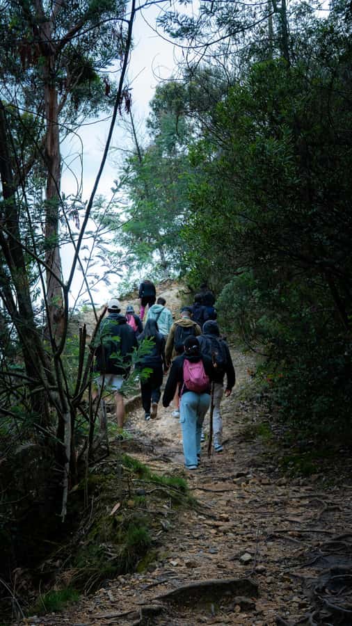 Bogota: East Hills Mountain Hike - How difficult is the hike?
