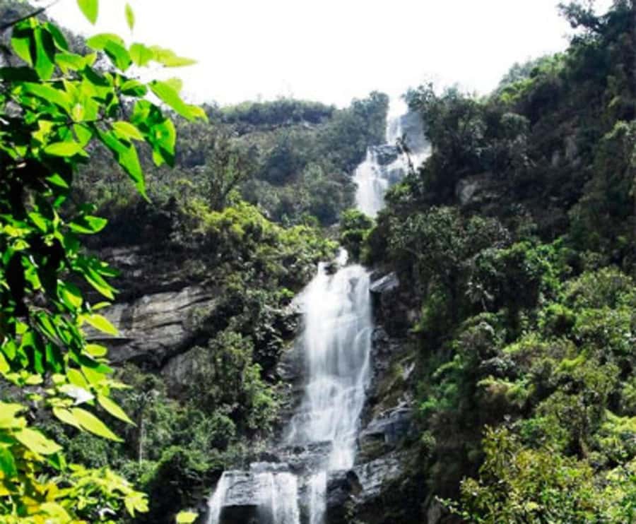 Bogota: La Chorrera Waterfall Guided Hike and Guadalupe Hill - Entering the cloud forest at La Chorrera