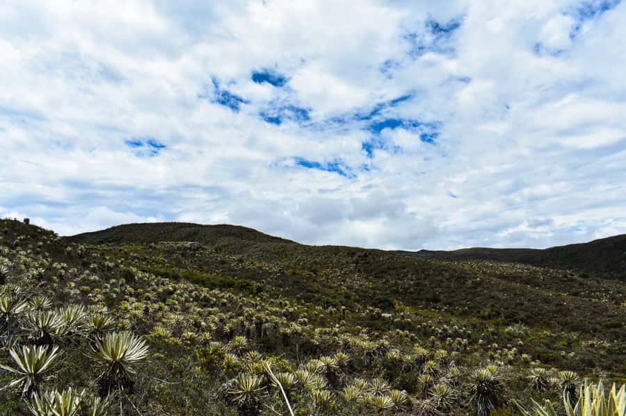 Bogotá: Sumapaz National Park Hike Tour - Is $136 a fair price?
