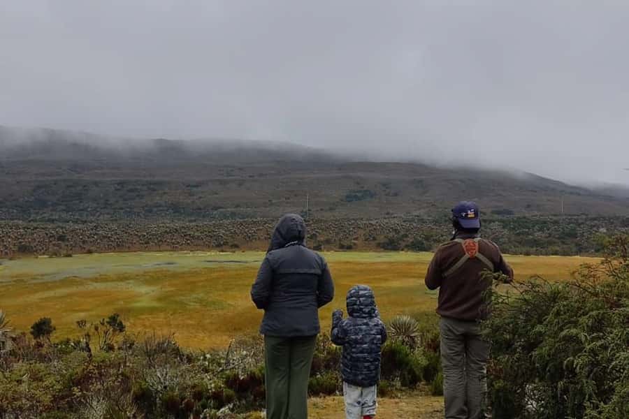 Bogotá: Sumapaz National Park Hike Tour - Walking the muddy trails at 13,000 feet