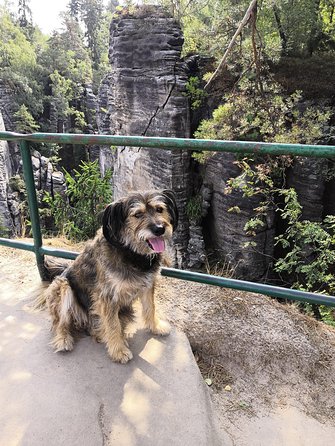 Bohemian Paradise (Český ráj) UNESCO geopark nature walks - Is $197.71 good value?