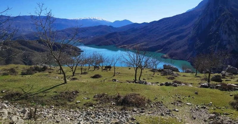 Bovilla Lake, Hiking and Swimming, Day Tour - Why Bovilla Lake Makes a Good Half-Day Trip