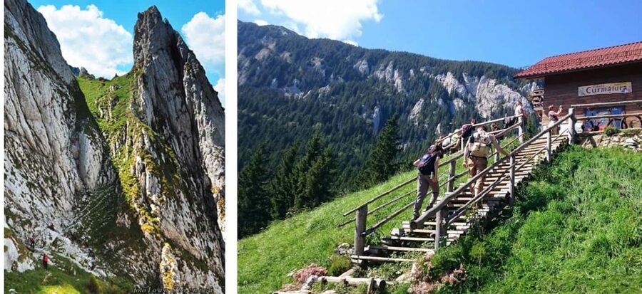 Brașov: Carpathian Mountains Guided Hike with Pickup - Who should choose this hike?