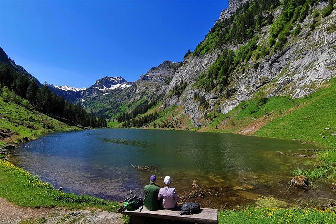 Breathtaking Private Hike with a Local Swiss Expert (1 day trip) - Starting at Lake Zurich and leaving the city behind