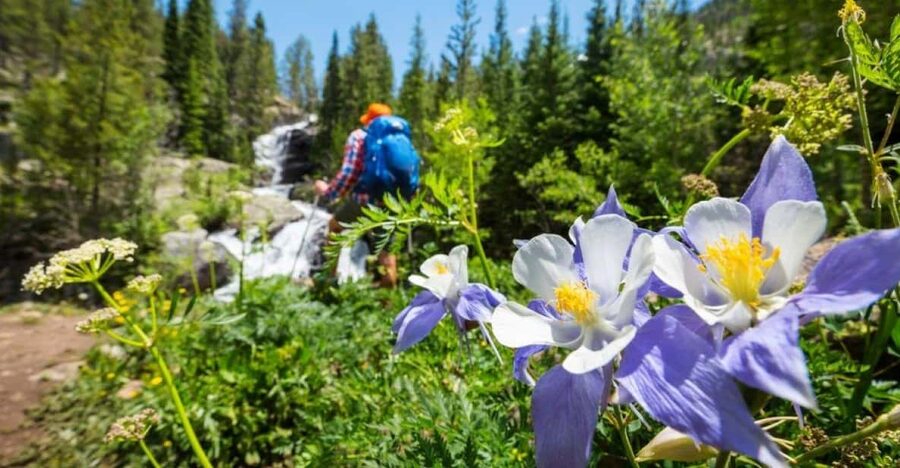 Breckenridge, CO: Half-Day Guided Scenic Hike - Key points at a glance