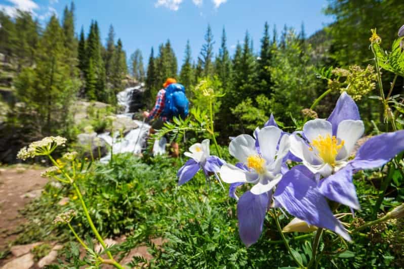 Breckenridge, CO: Half-Day Guided Scenic Hike - A guide who adjusts instead of pushing