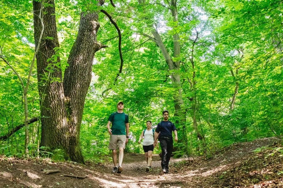 Budapest: Buda Hills Guided Hiking Tour with Optional Lunch - Key points to know before you book