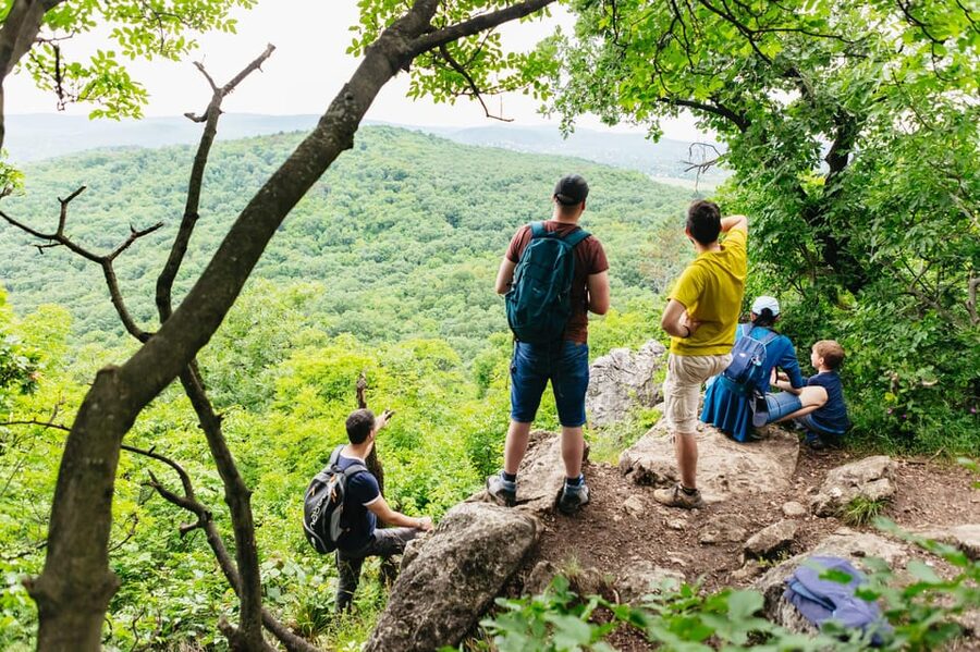 Budapest: Buda Hills Guided Hiking Tour with Optional Lunch - Through the woods to Elizabeth Lookout Tower