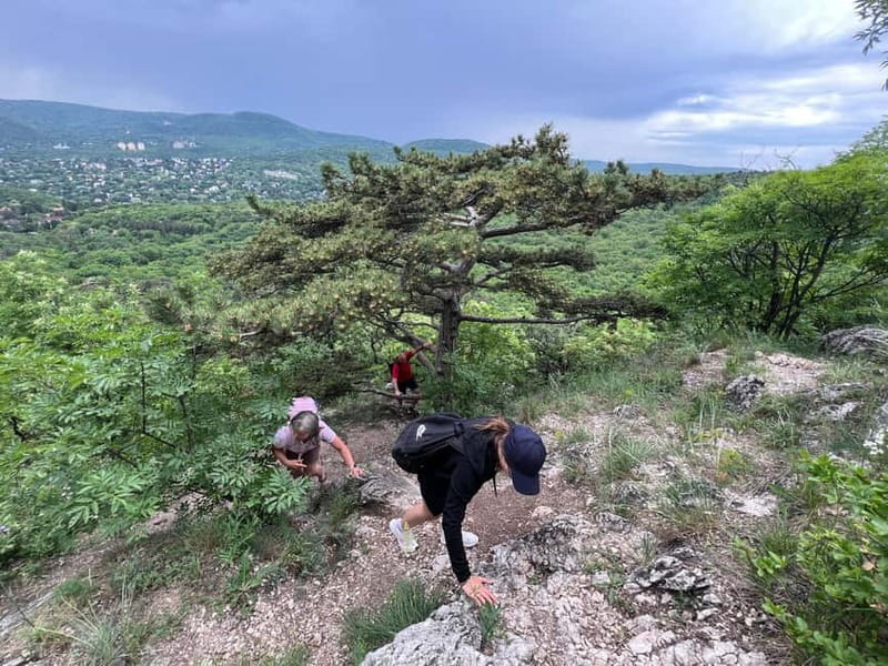 Budapest: Hiking Tour in the Buda Hills, Hármashatár Hill - The stone pit and the bird-watching shelter