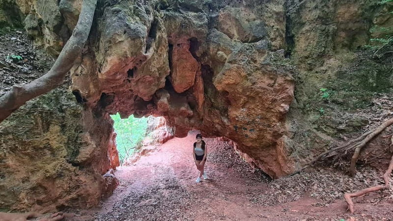 Budapest: Hiking Tour in the Buda Hills, Hármashatár Hill - Who should book this hike