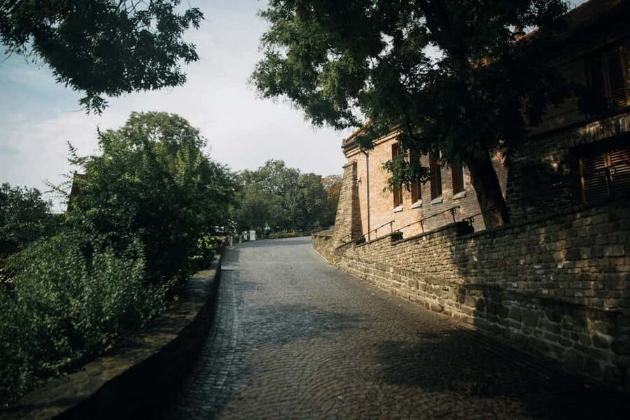 Budapest: Tihany Peninsula Hike and Abbey Day Trip - Is $176 good value?