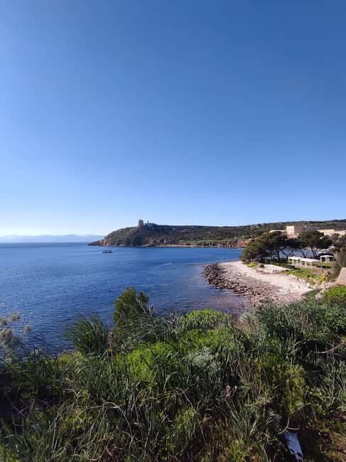 Cagliari: Bike & Hike Tour - Flamingos and birdlife at Molentargius