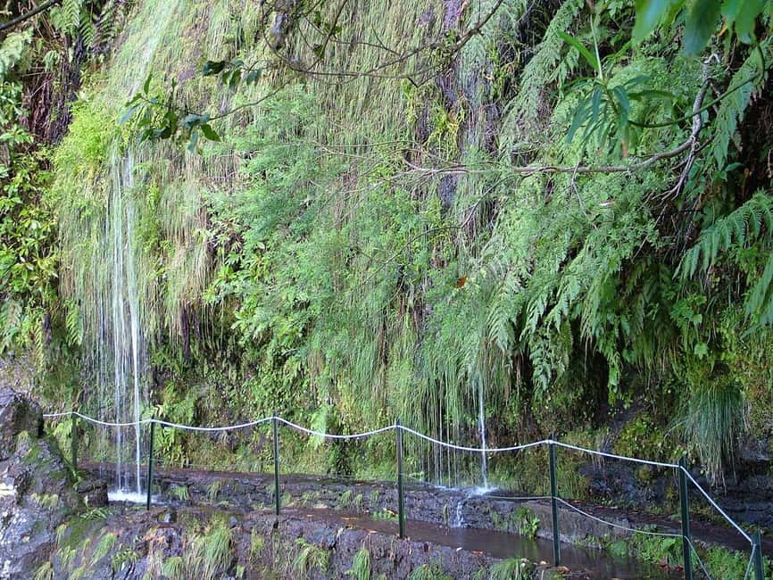 Caldeirão Verde: Levada Caldeirao Verde Hiking Transfer - What to pack for Caldeirão Verde