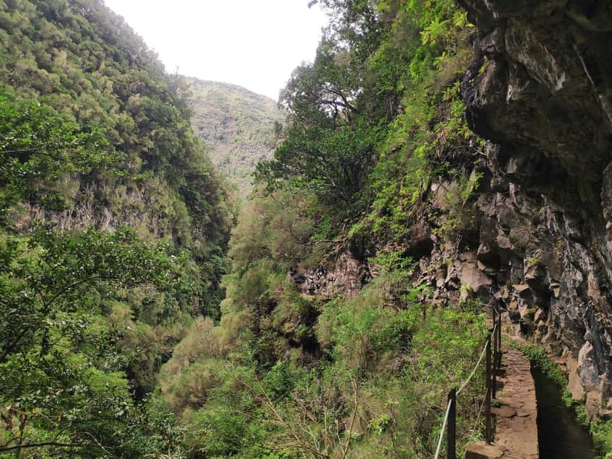 Caldeirão Verde: Levada Caldeirao Verde Hiking Transfer - Four tunnels and the final waterfall