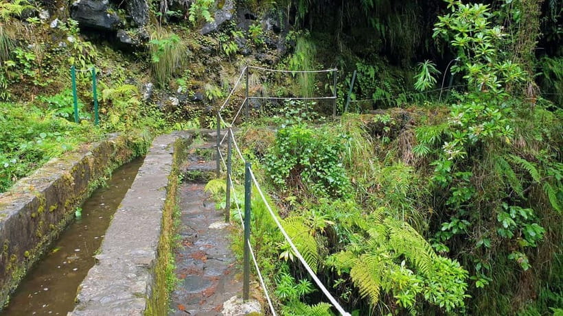 Caldeirão Verde: Levada Caldeirao Verde Hiking Transfer - Price, tax, and what you are paying for