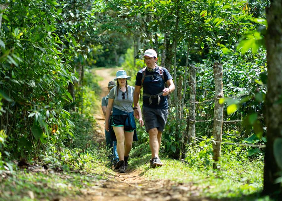 Cali: Hiking to the Pance waterfalls - Key points at a glance