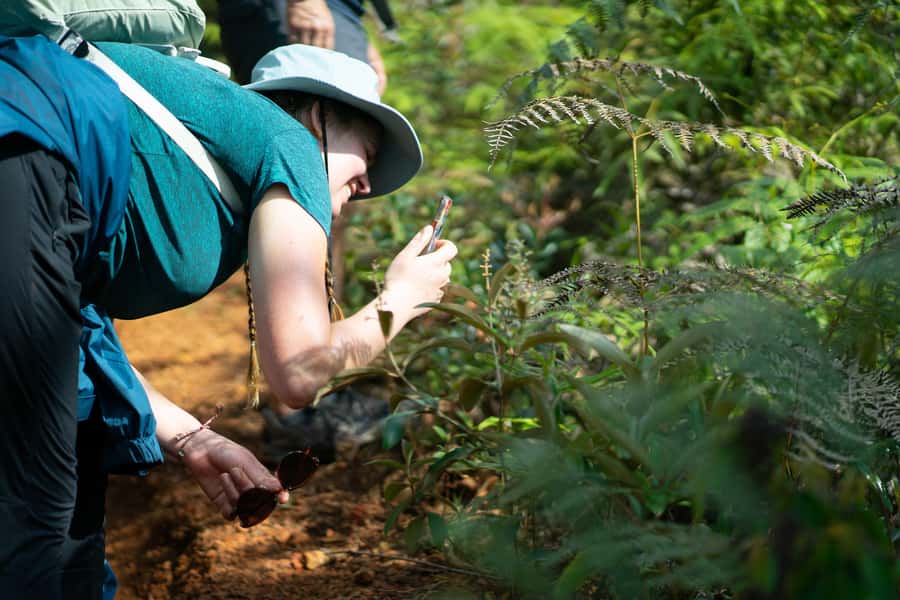 Cali: Hiking to the Pance waterfalls - Should you book the Pance waterfalls hike?