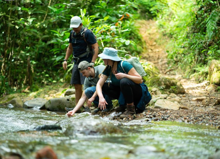 Cali: Hiking to the Pance waterfalls - The guides make a practical difference