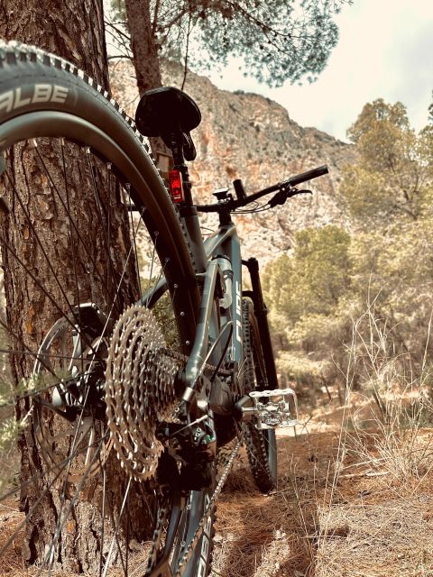 Caminito del Rey Full Experience+ 2-Hour E-Bike guided Tour - Two hours on an electric mountain bike