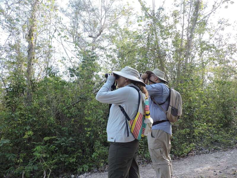 Cancún: Guided Birdwatching Hike - Three hours on the Ruta de los Cenotes