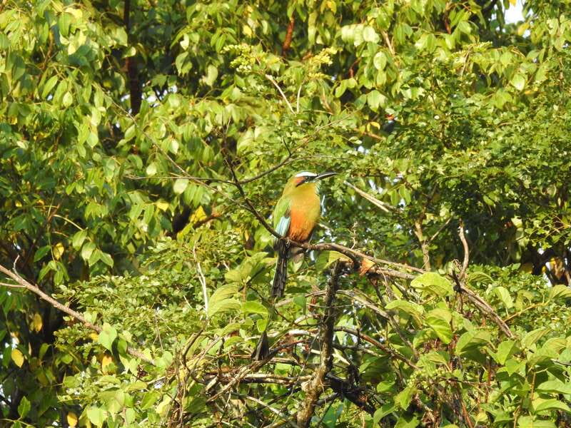 Cancún: Guided Birdwatching Hike - Is $169 a fair price?