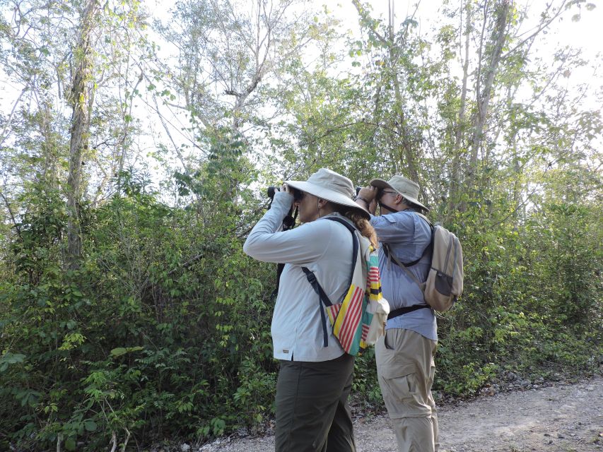 Cancún: Guided Birdwatching Hike - Booking details worth checking first