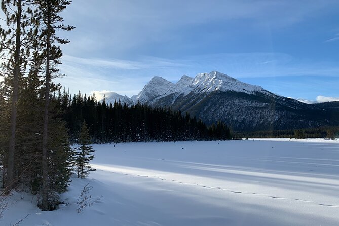Canmore: LOST TOWNS and Untold Stories - Hiking Tour 3hrs - Following Canmore’s overgrown wagon roads