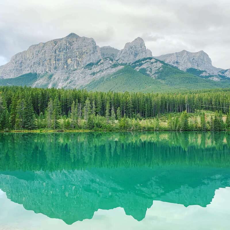 Canmore: PRIVATE SAFARI Drive to BANFF Park & Nature Walk - Key points to know before you book