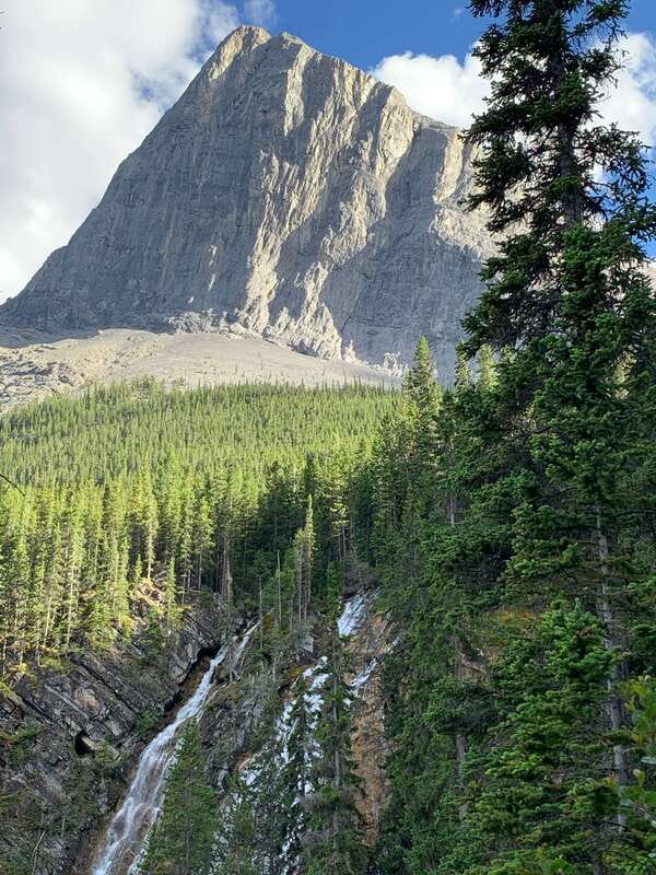 Canmore: PRIVATE SAFARI Drive to BANFF Park & Nature Walk - Is $438 good value?