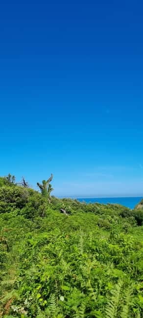 Cape of Rodon, Hiking to Castle, Beach, Wine testing tour! - Key points to know before booking