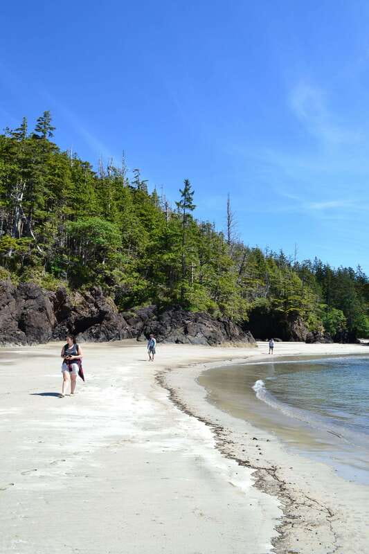 Cape Scott: San Josef Bay Day Hike with Scenic Drive - Who will enjoy this day most?