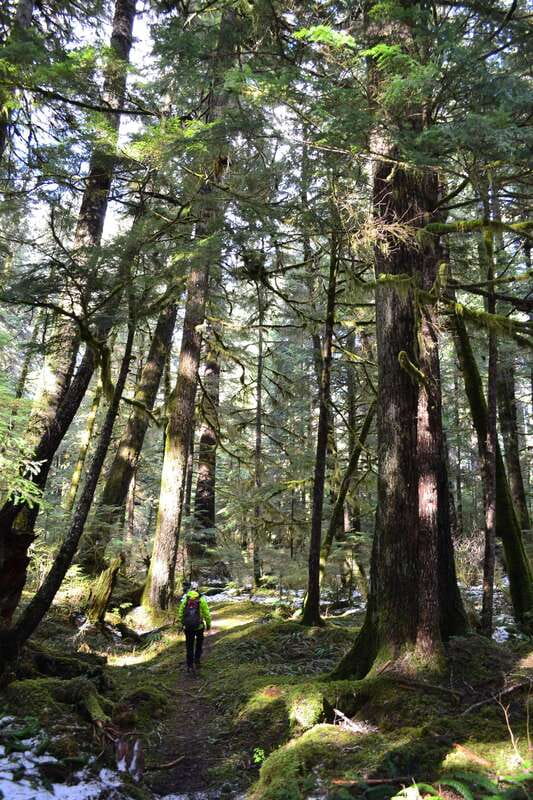 Cape Scott: San Josef Bay Day Hike with Scenic Drive - Why San Josef Bay is worth the long ride