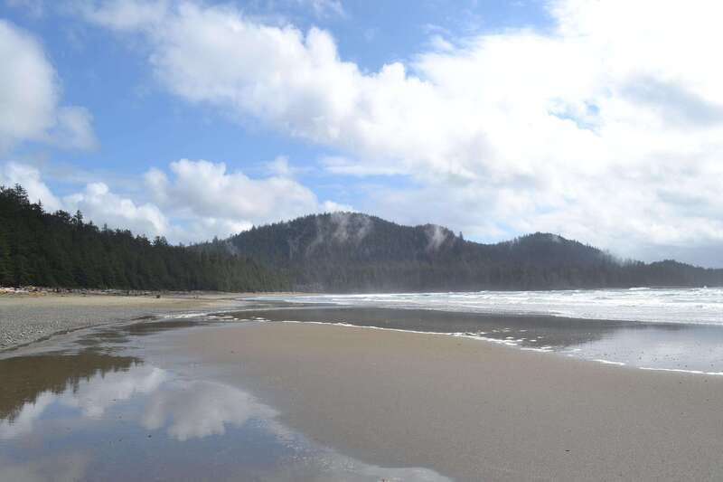 Cape Scott: San Josef Bay Day Hike with Scenic Drive - Walking through old-growth forest to the beach