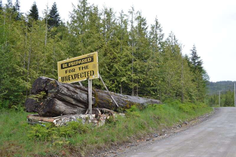 Cape Scott: San Josef Bay Day Hike with Scenic Drive - Weather, wildlife, and what to pack