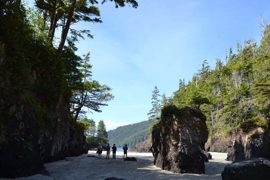 Cape Scott: San Josef Bay Day Hike with Scenic Drive - The Port Hardy departure and the road north