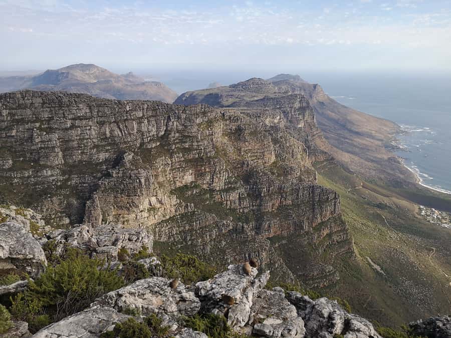Cape Town: 3-Hour Table Mountain Hike via Platteklip Gorge - Summit views over Cape Town and Table Bay