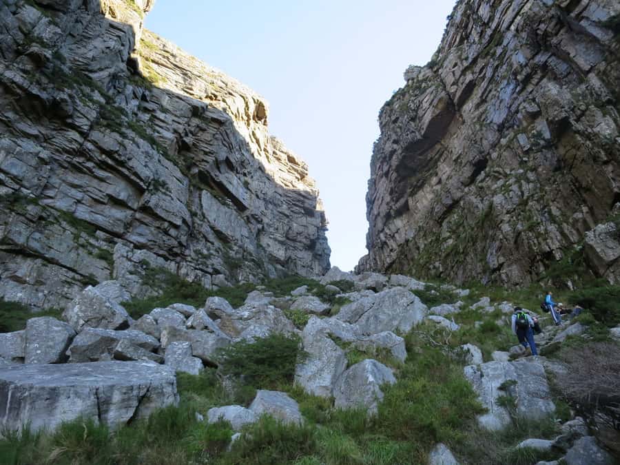 Cape Town: 3-Hour Table Mountain Hike via Platteklip Gorge - The four-hour schedule from Tafelberg Road