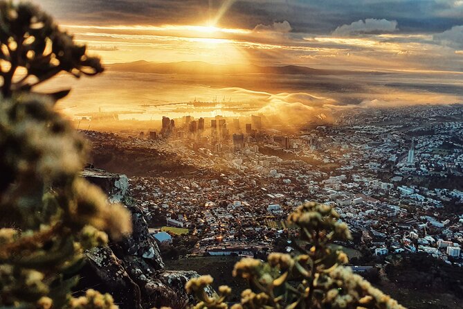 Cape Town: Lion's Head Sunrise/Sunset Hike - The final section: rocks, ladders, and height