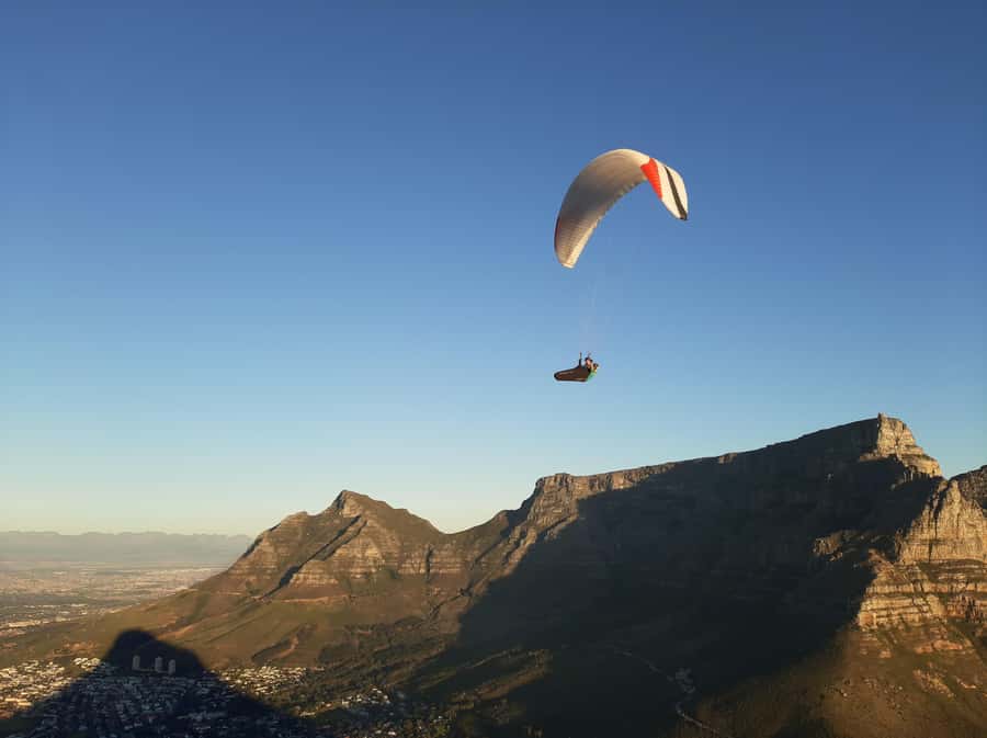 Cape Town: Lion's Head Sunrise with coffee or Sunset Hike - Silver trees, sea views, and the first part of the trail
