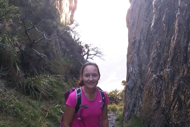 Cape Town: Platteklip Gorge Half-Day Hike on Table Mountain - What the guide adds to the walk