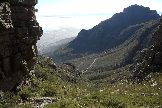 Cape Town: Platteklip Gorge Half-Day Hike on Table Mountain - The descent is the detail you must plan
