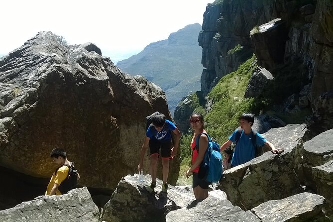 Cape Town: Platteklip Gorge Half-Day Hike on Table Mountain - Is the $80.81 price good value?