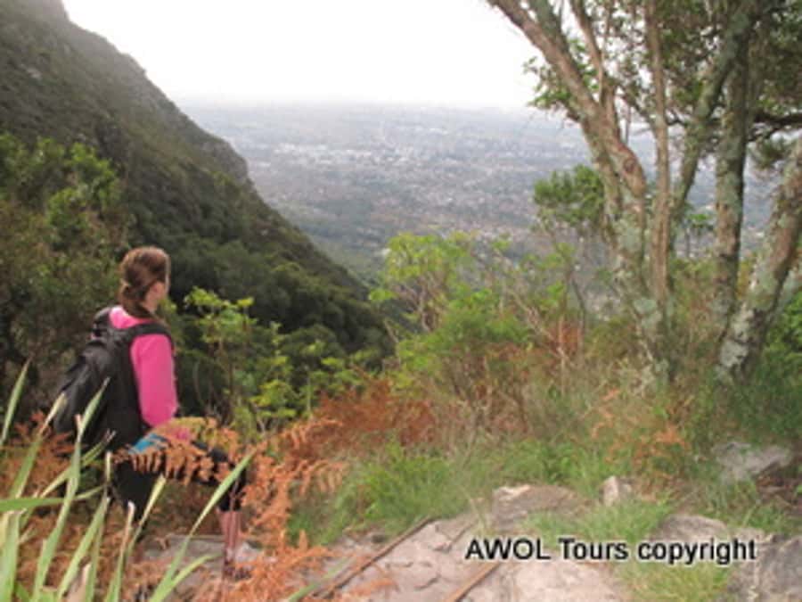 Cape Town Private Guided Table Mountain Hikes - Should you book the AWOL Table Mountain hike?