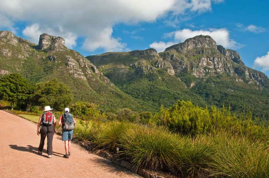 Cape Town: Skeleton Gorge and Kirstenbosch Gardens Hike - The cable-car question and the end of the day