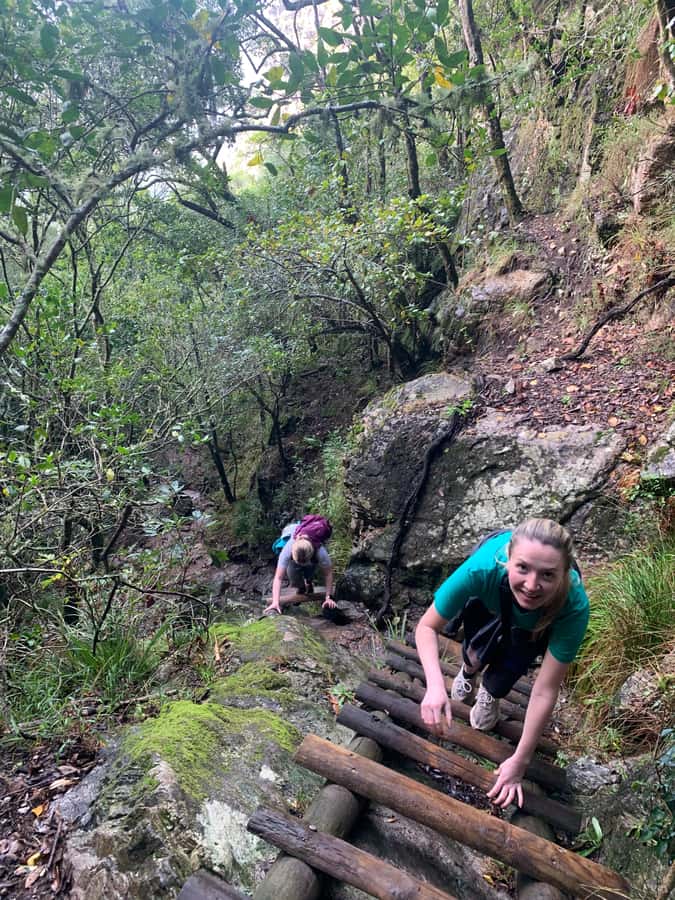 Cape Town: Skeleton Gorge and Kirstenbosch Gardens Hike - Why Skeleton Gorge feels unlike other Table Mountain walks